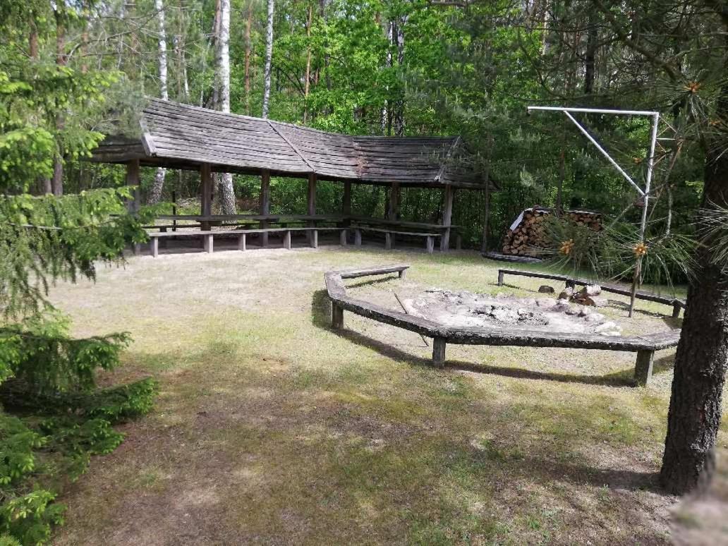 Agroturystyka "Lesne Zacisze Na Podlasiu" Tuczna Exterior photo